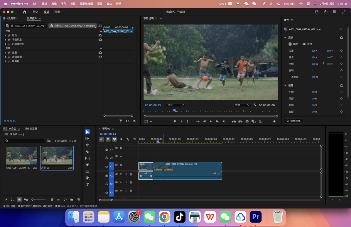 Premiere Pro